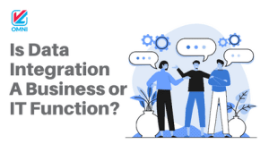 Data integration is a business function