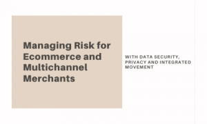 Managing Risk for Ecommerce and Multichannel Merchants with Data Security, Privacy, and Integrated Movement