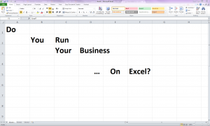Excel spreadsheet - do you run your business on excel